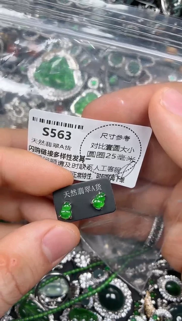 颈饰未镶嵌翡翠S563耳钉