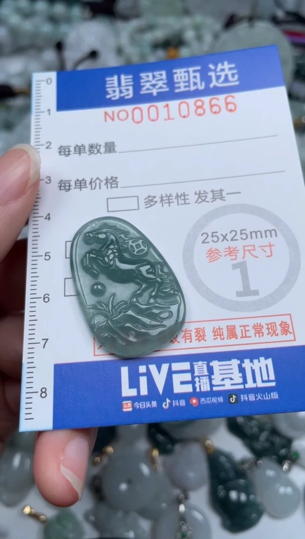 颈饰未镶嵌翡翠10866