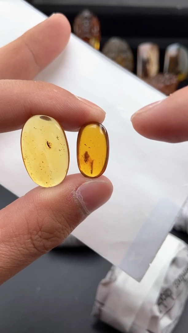 【闪购商品】琥珀颈饰未镶嵌虫珀