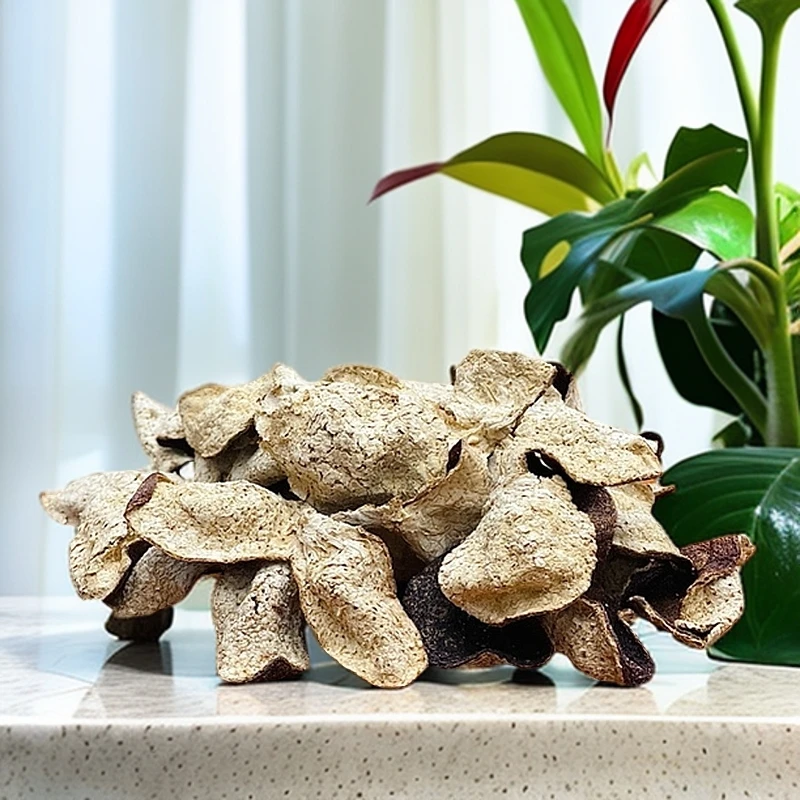 十年陈 新会老陈皮大红皮甘甜醇泡水泡茶煲汤正宗陈皮茶500克