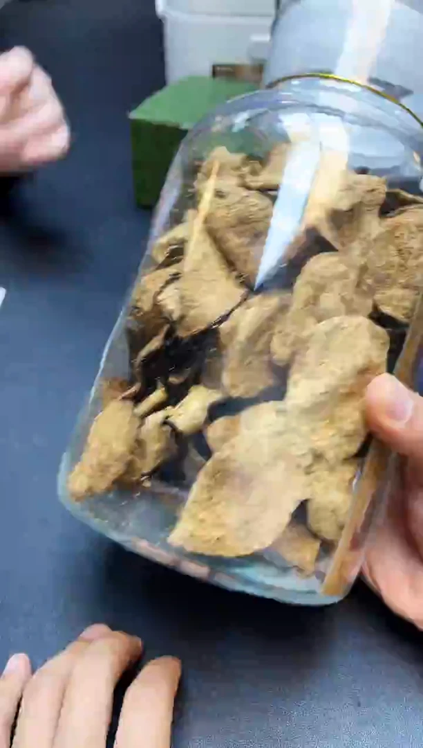 瓷片我又回来了全部漏@@WE2098