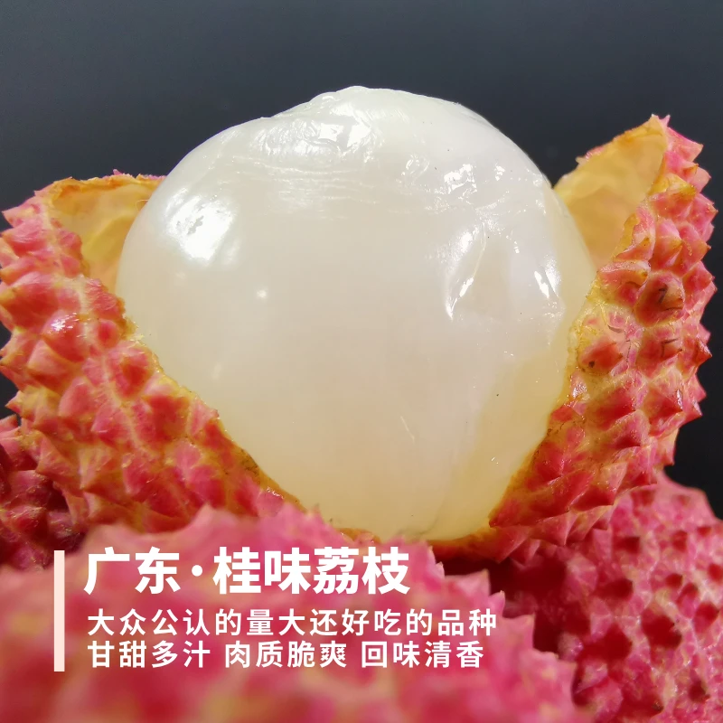 桂味荔枝 干荔枝【带软枝】广东 甘甜清香 果肉Q弹多汁  4.5斤装