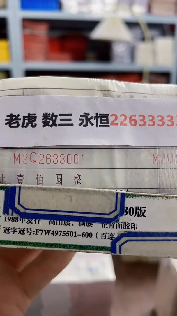 M  01 老虎 数三 永恒22633333