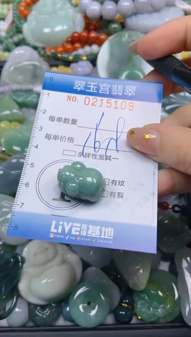 颈饰未镶嵌翡翠闪购C0215109