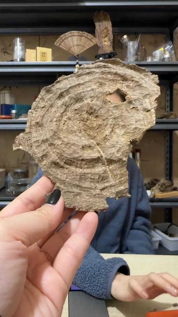 【闪购商品】沉香摆件39号越南芽庄铁头野料19克+