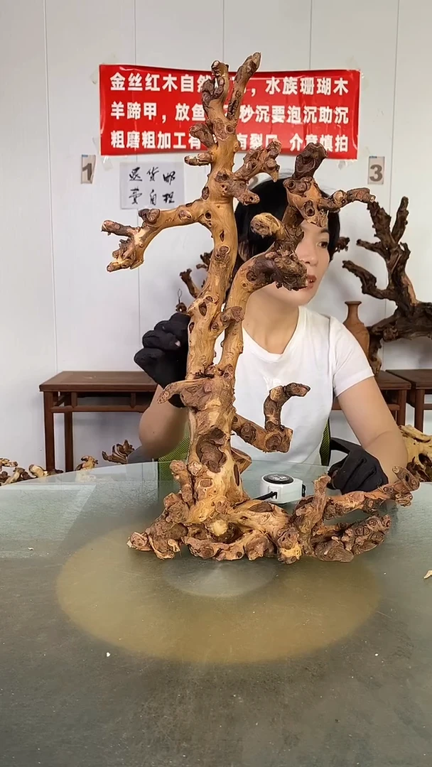 香榧木?金丝红木 羊蹄甲