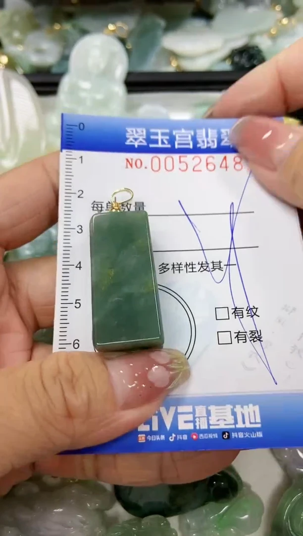 【闪购商品】翡翠颈饰未镶嵌闪购0052648