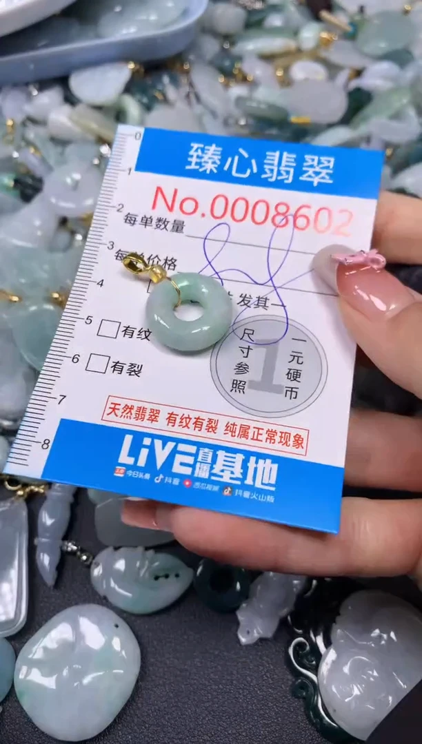 【闪购商品】翡翠颈饰未镶嵌含绳0008602