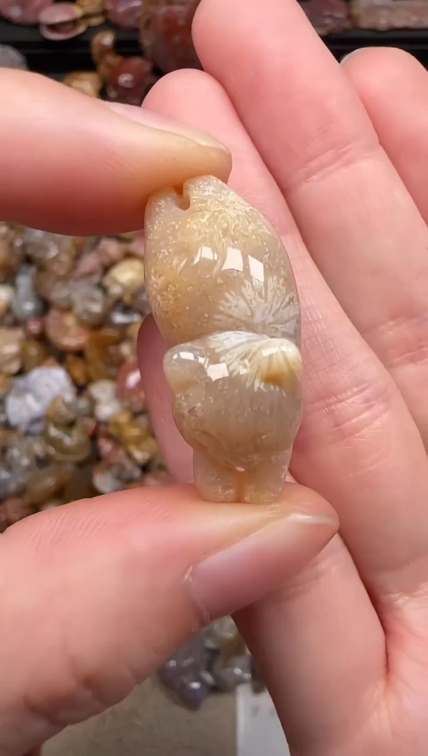 硅化珊瑚（珊瑚玉）未镶嵌颈饰195