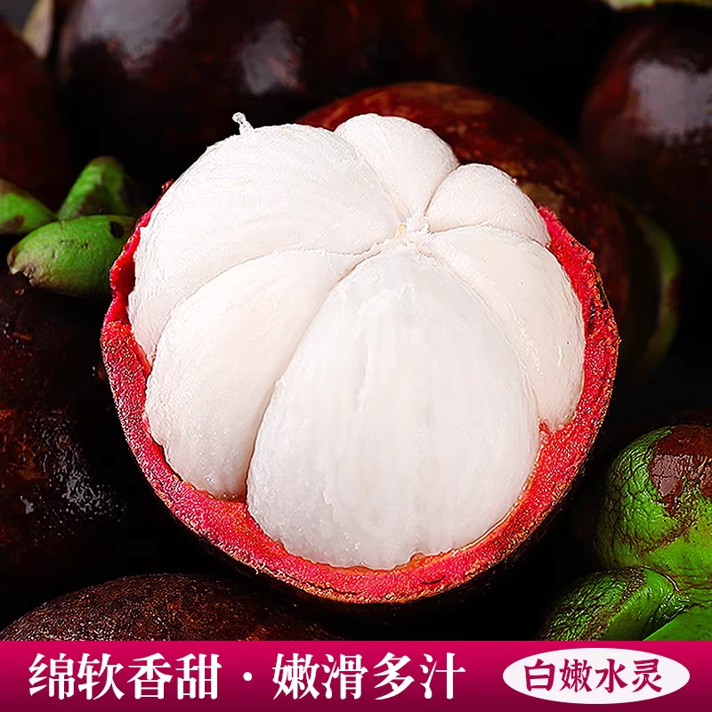 【3A】泰国老树山竹新鲜滑嫩