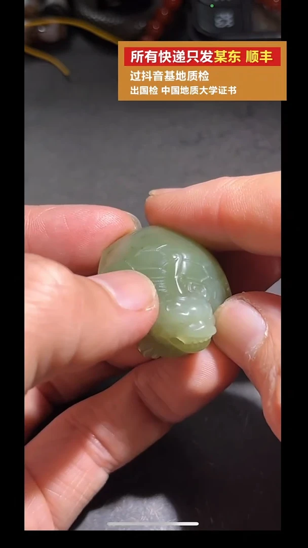 吊坠(不含链)未镶嵌和田玉（青玉）pz917-34龙龟