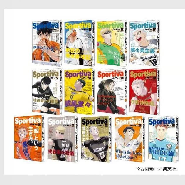 现货 日文原版 排球少年小说 合作杂志风封面 1-13 ハイキュー!!
