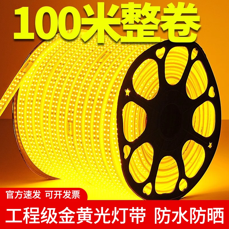 防水防晒防冻金黄光灯灯带LED灯带带光源工程亮化超亮220V户外