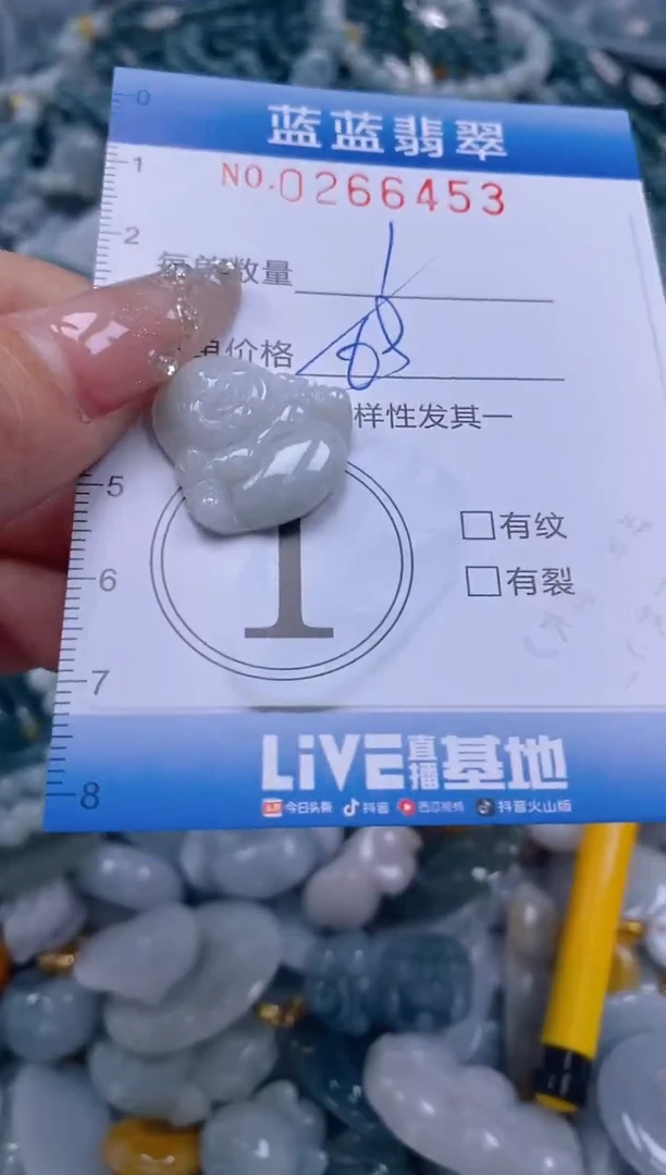 翡翠未镶嵌颈饰闪购0266453多样性发其一