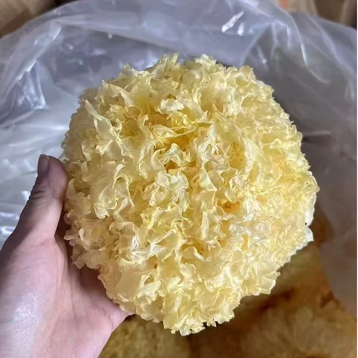 精选高山本色无硫银耳雪耳白木耳正宗胶质软糯爽口当季新货易出胶