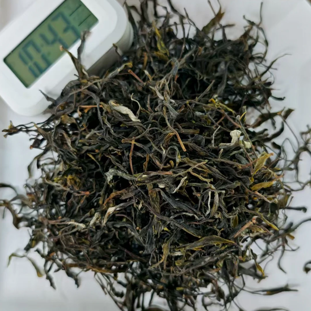 2024年 倚邦细叶 大树春茶 生茶散料 9月26日 【017】