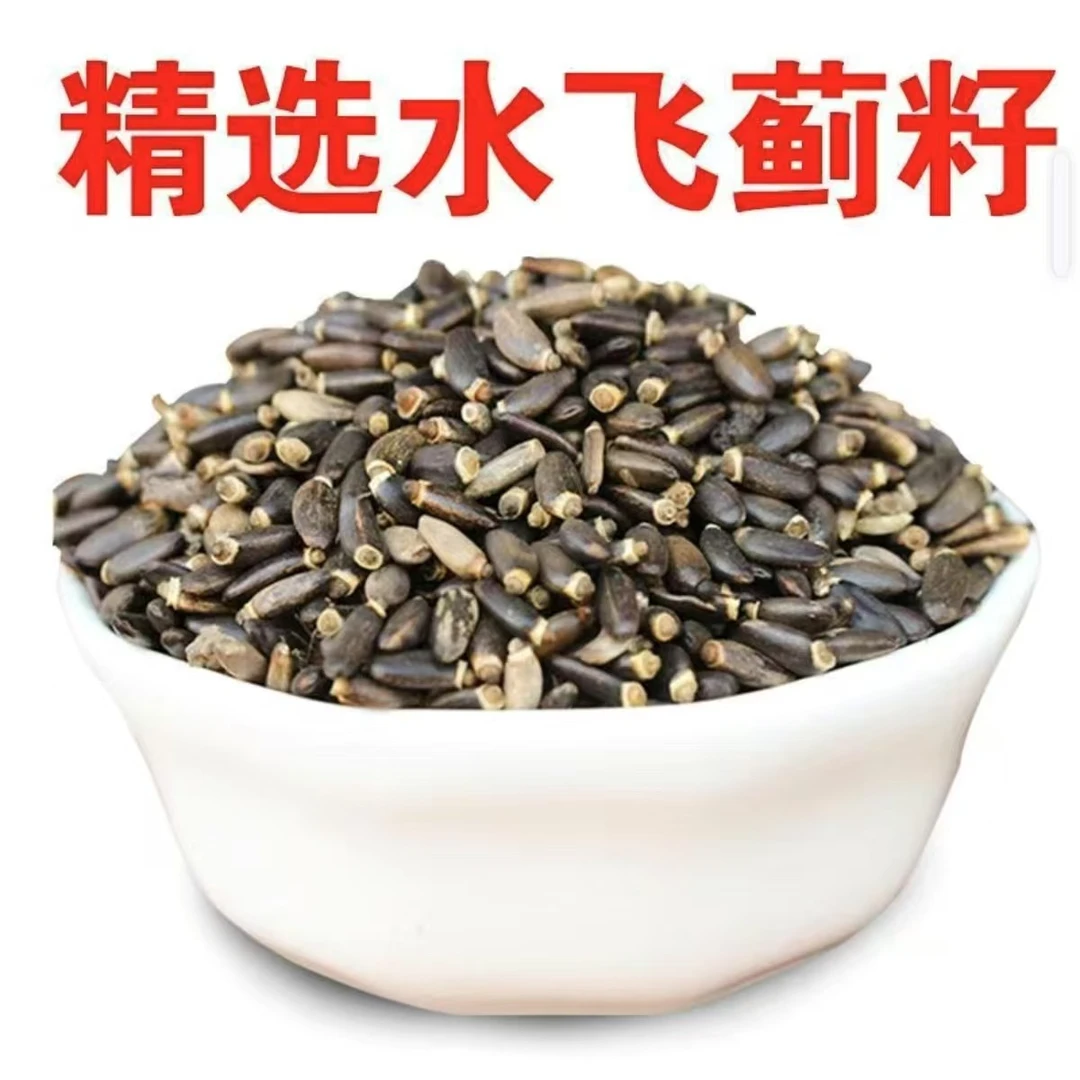 正宗优质水飞蓟籽新货【炒熟】水飞蓟奶蓟泡茶肝肝茶沙苑子猫爪草