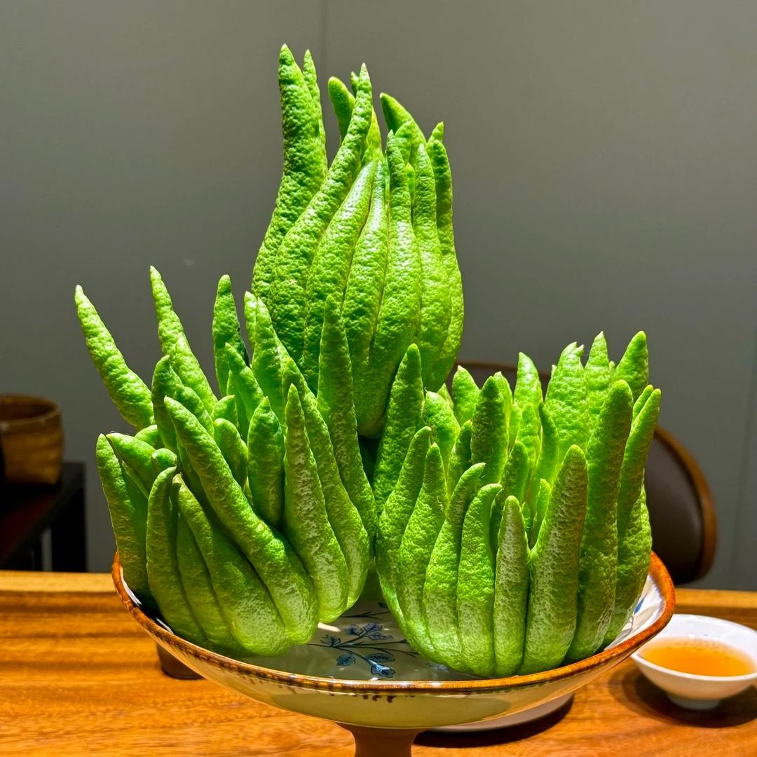 云南佛手柑闻香鲜果带枝新鲜高山佛手瓜柑水培摆件室内观赏香薰