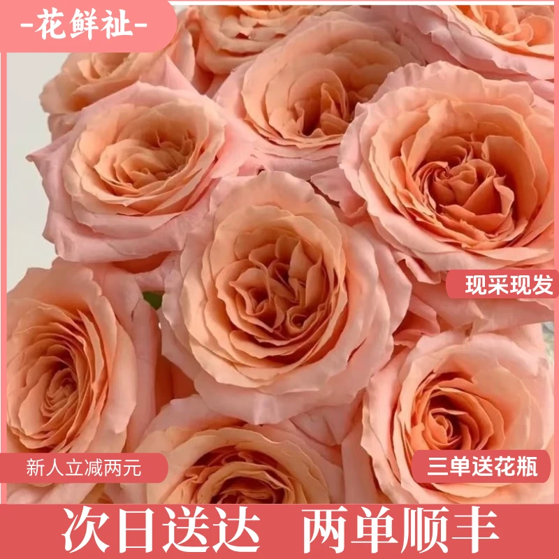 花鲜祉【微光玫瑰10枝】新鲜包邮到家次日达