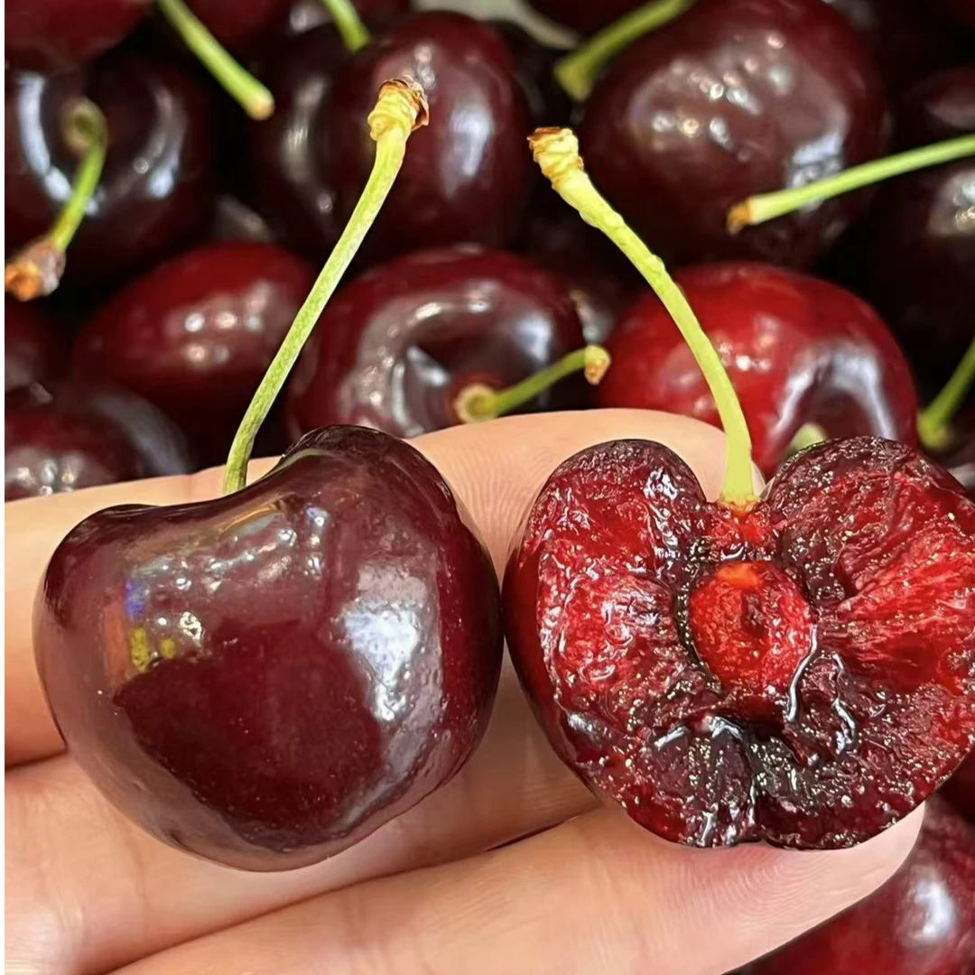 【春节专享曾大户】车厘子拉宾斯[/2J/3J/4J]顺丰到家5斤原箱