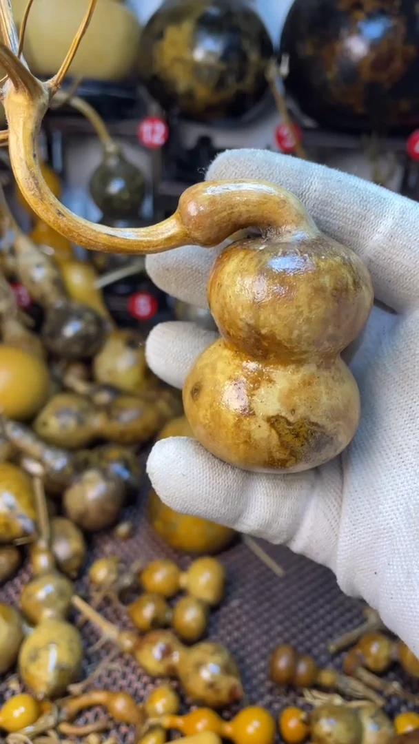 【闪购商品】葫芦葫芦葫芦葫芦