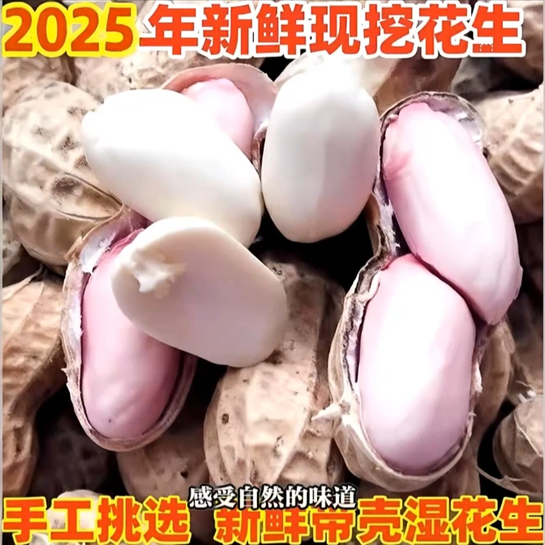 a人工挑选新鲜现挖带壳嫩花生农家自种粉白花生营养美味