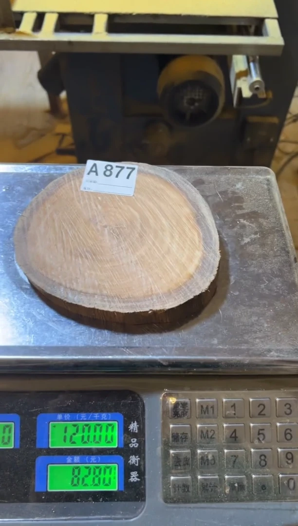 木马达加斯加药香黄檀A877