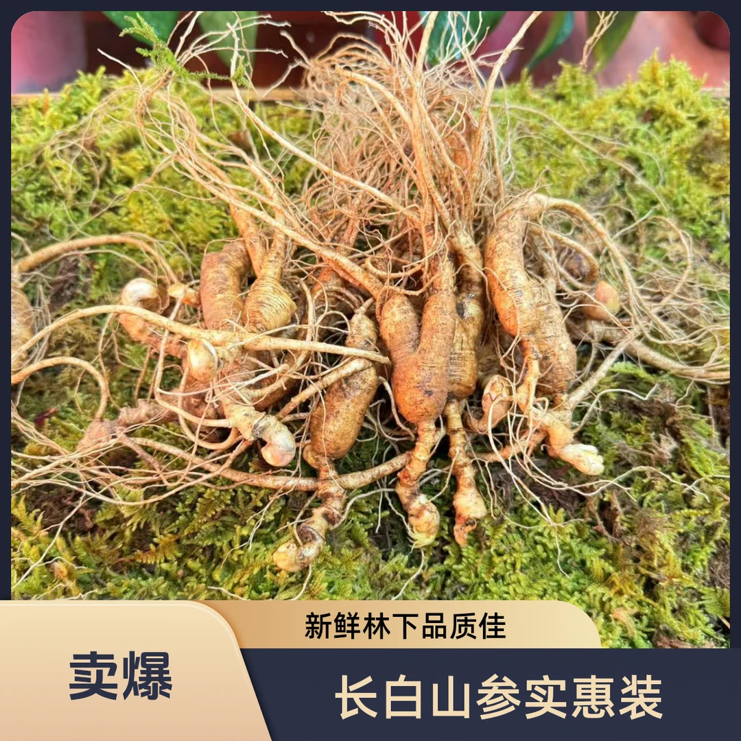 长白山新鲜林下山参人参煲汤泡酒实惠装100克左右林下参