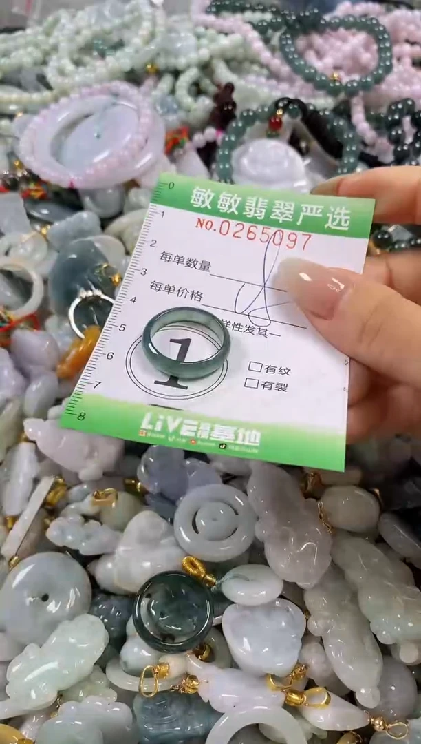 翡翠未镶嵌颈饰闪购0265097