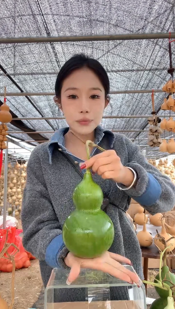 895天然葫芦摆件 一物一拍龙头不保售后