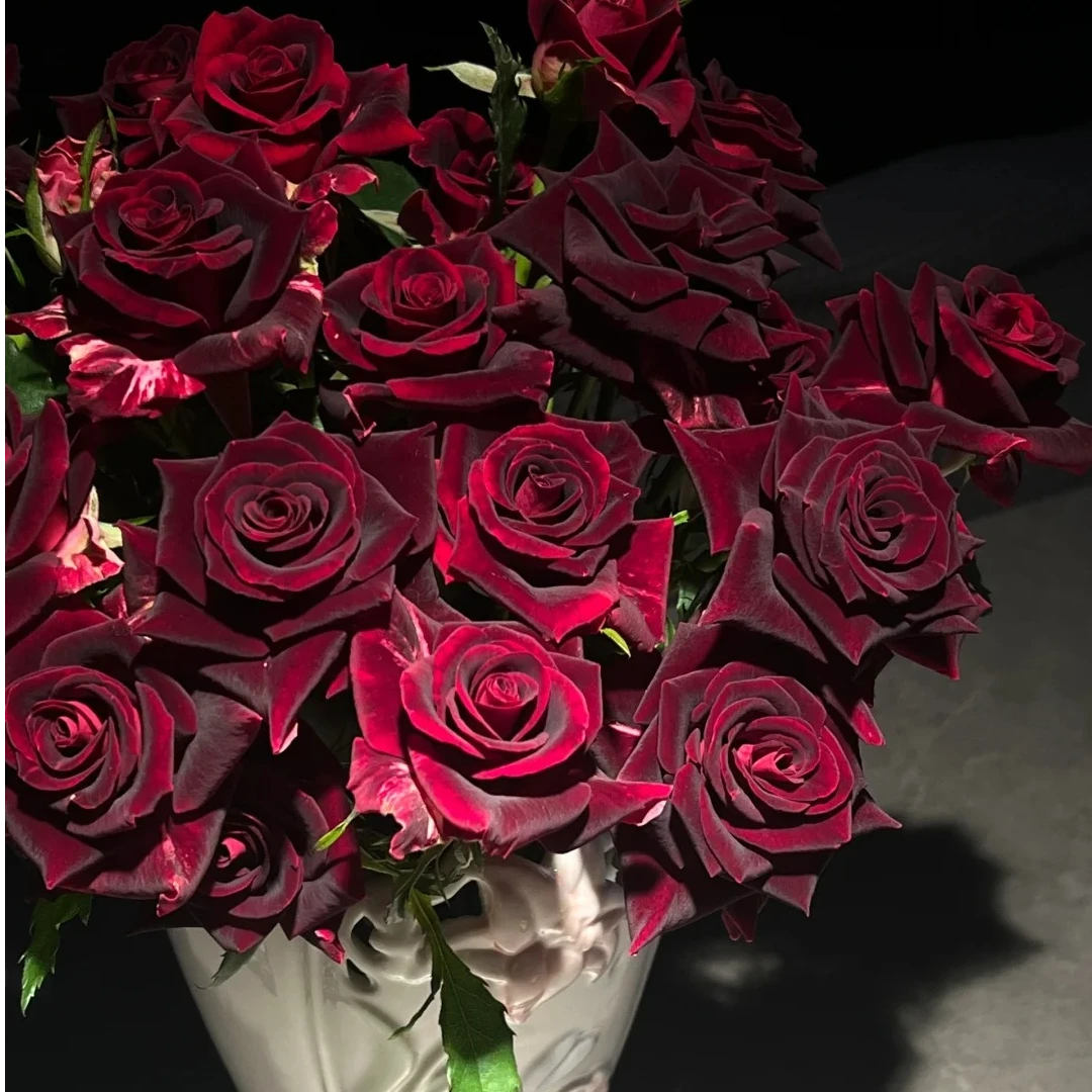 紫罗兰泡泡10支【全店任意满2件发顺丰京东】云南家用新鲜鲜花直发