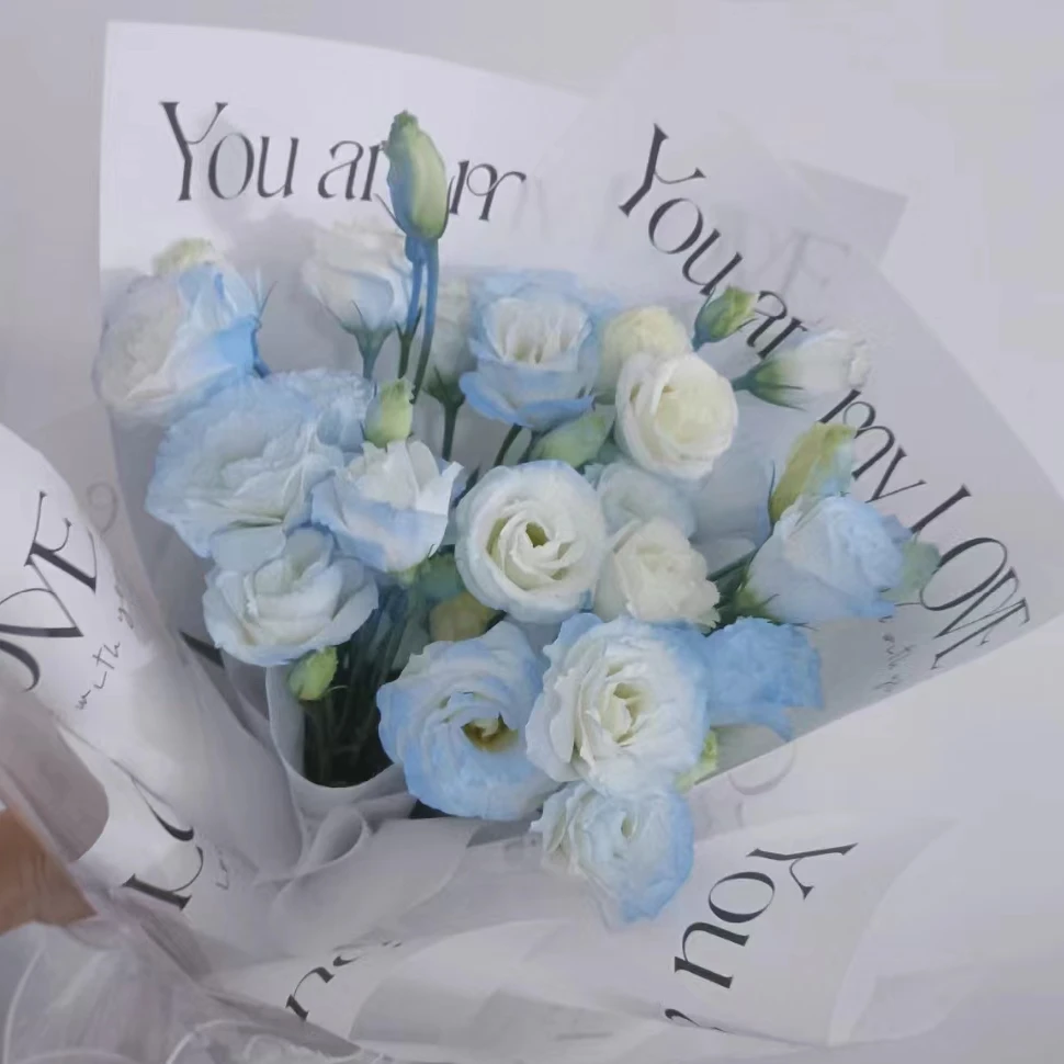 69 喷色碎冰蓝桔梗一小把+棒棒糖康乃馨10支+吸色紫色喜悦小菊3支