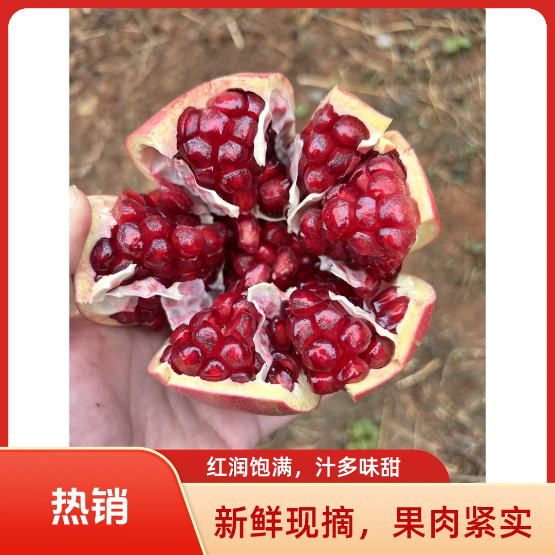 【12个装】会泽盐水软籽石榴新鲜采摘普箱装约含纸箱九斤（混合装）