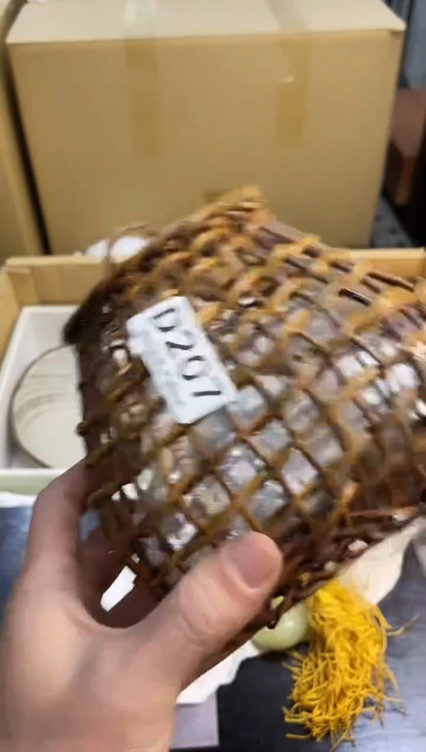 ?*️同言瓷器海外甄选207