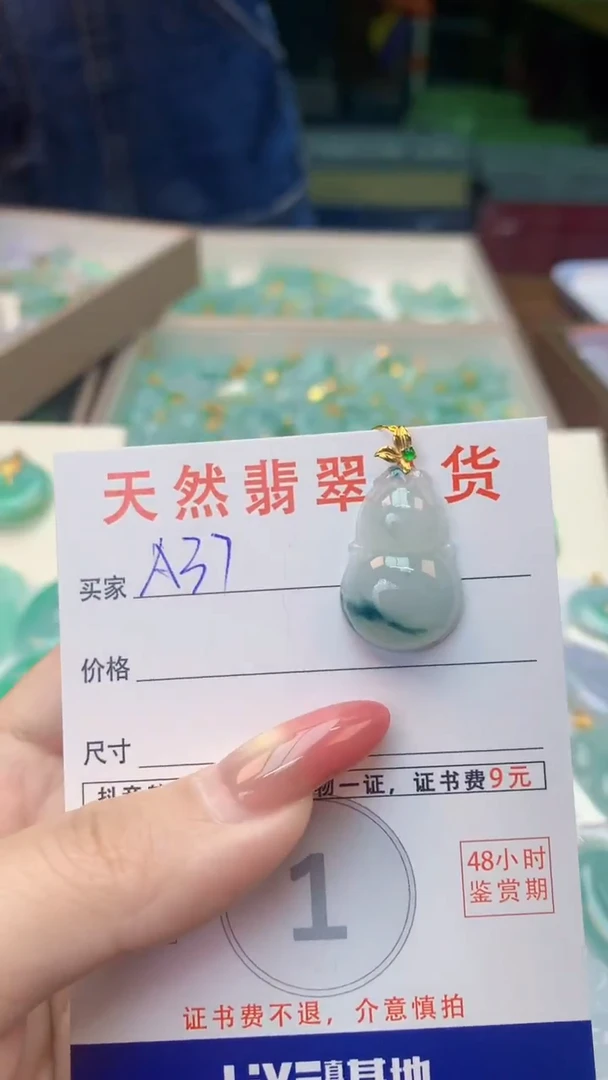 颈饰未镶嵌翡翠纯天然翡翠A货挂件