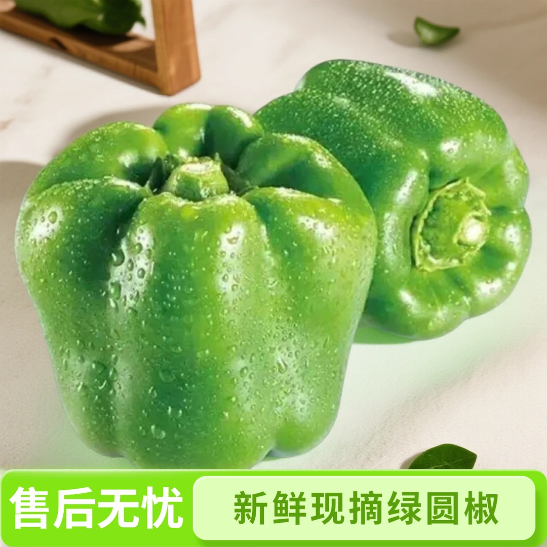 山东新鲜现摘绿圆椒（3~5斤），绿色好吃产地直发营养