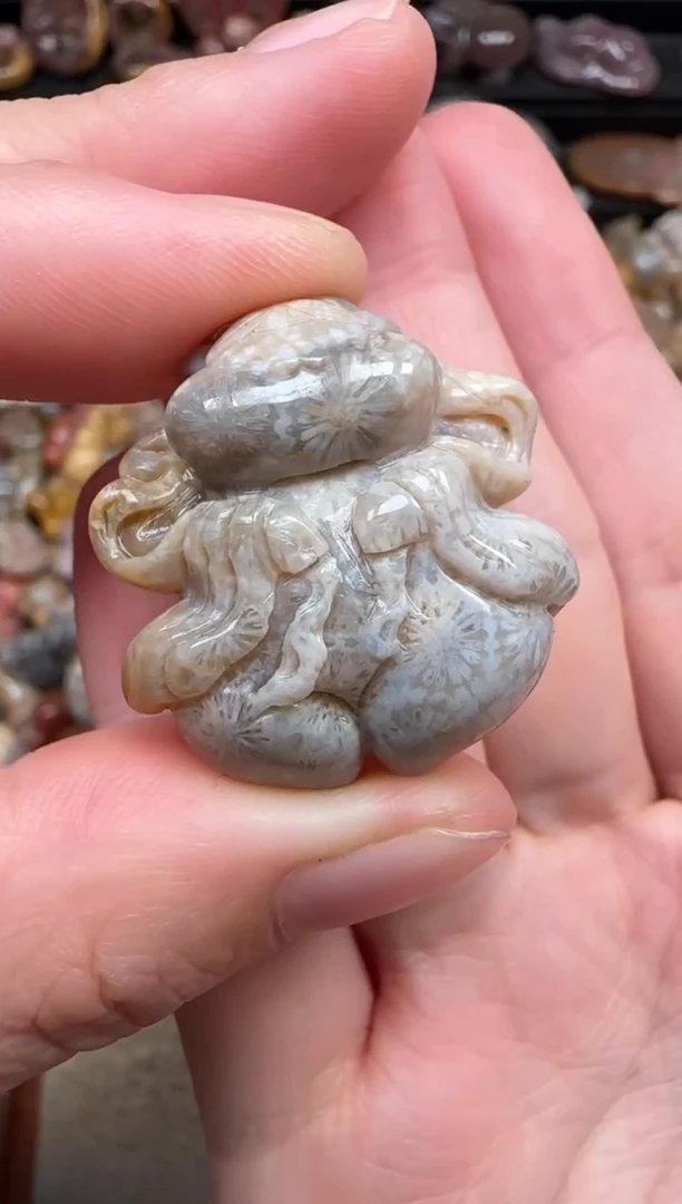 颈饰未镶嵌硅化珊瑚（珊瑚玉）743