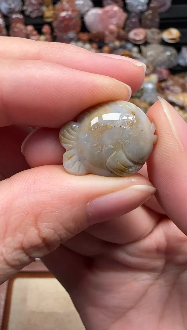 颈饰未镶嵌硅化珊瑚（珊瑚玉）075