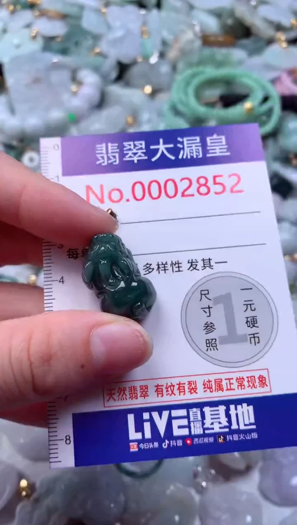 吊坠(不含链)未镶嵌翡翠2852