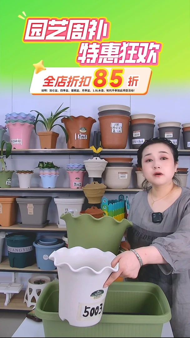 2套荷叶边5003，米白色，带托盘