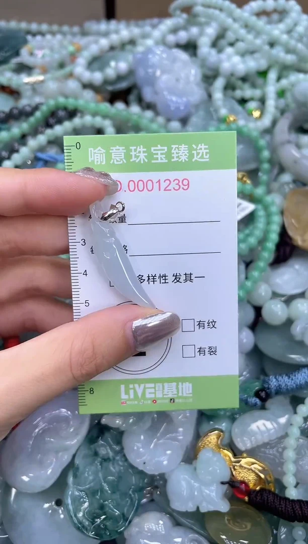 颈饰未镶嵌翡翠0143
