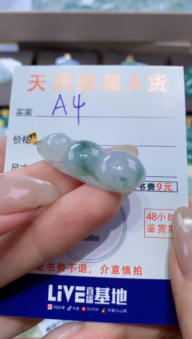 颈饰未镶嵌翡翠天然翡翠A货挂件