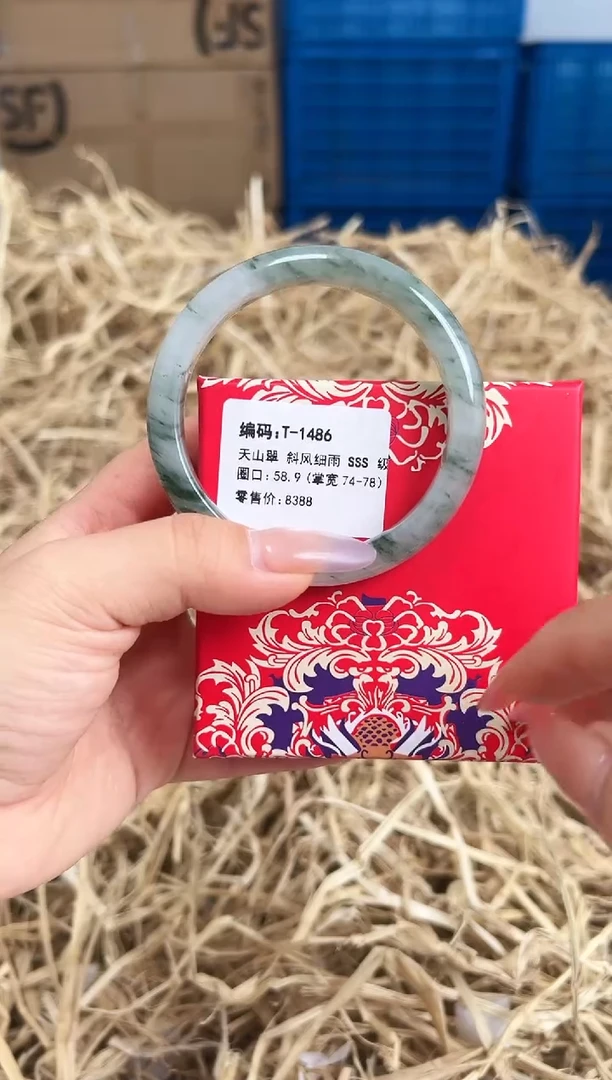未镶嵌手镯石英质玉T-1486