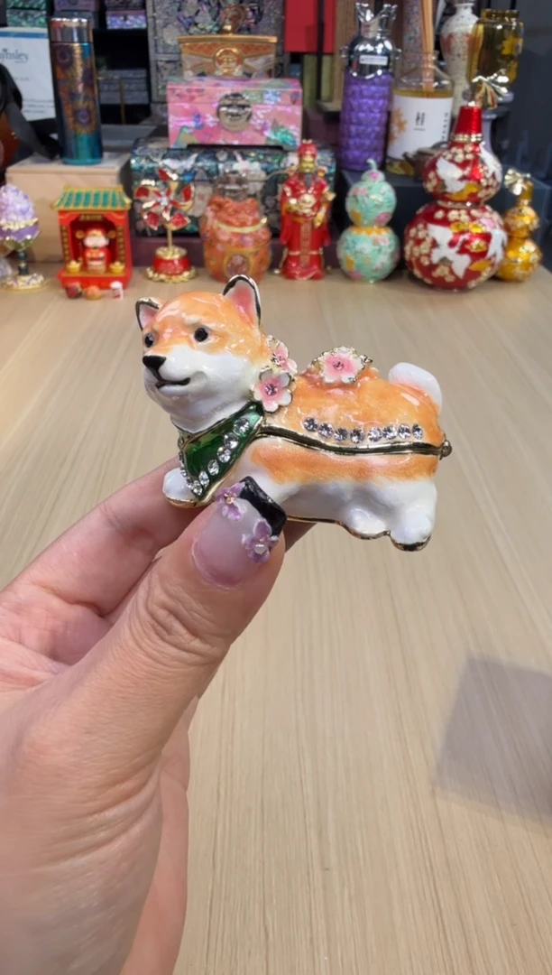 78七宝樱花柴犬