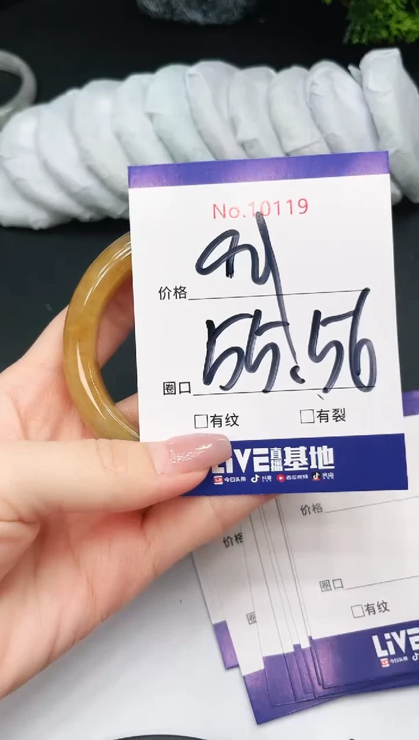 未镶嵌手镯翡翠10119