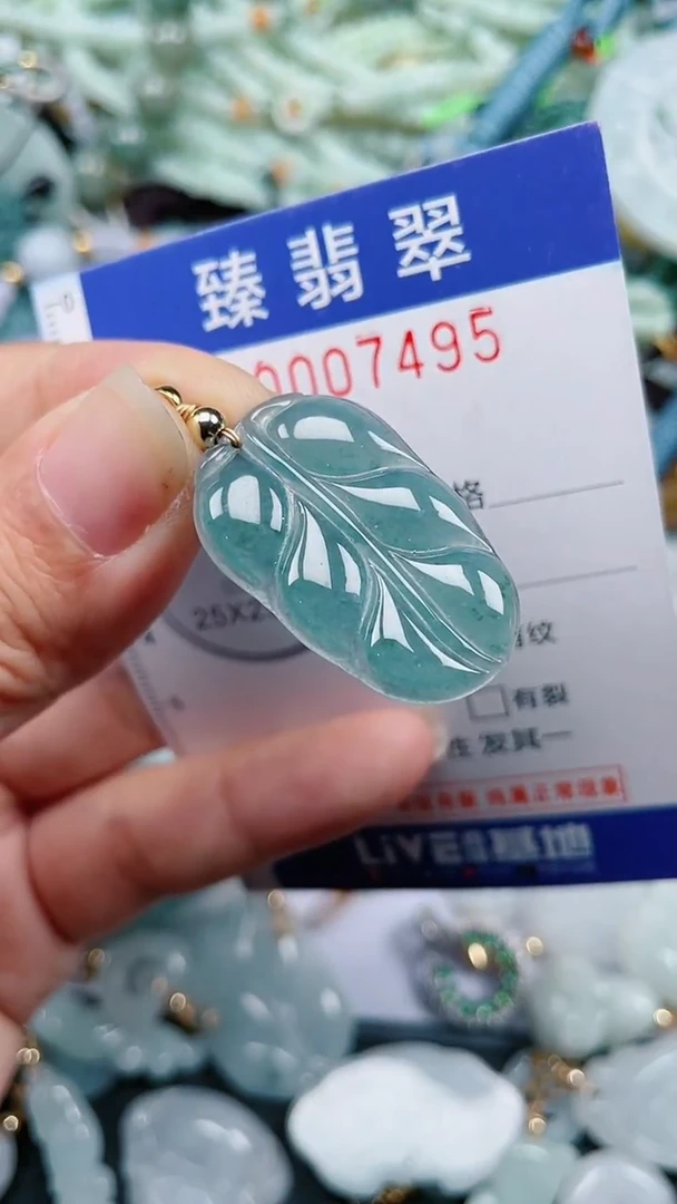 颈饰未镶嵌翡翠.0007495