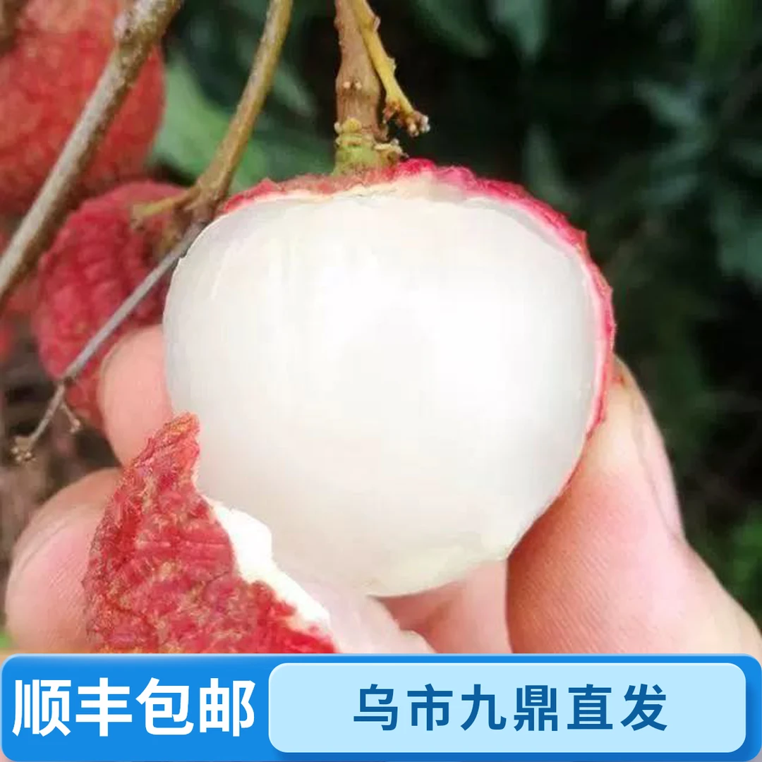 高州白糖罂荔枝新鲜水果老树整箱4斤