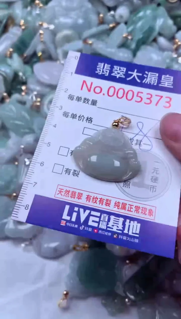 吊坠(不含链)未镶嵌翡翠5373