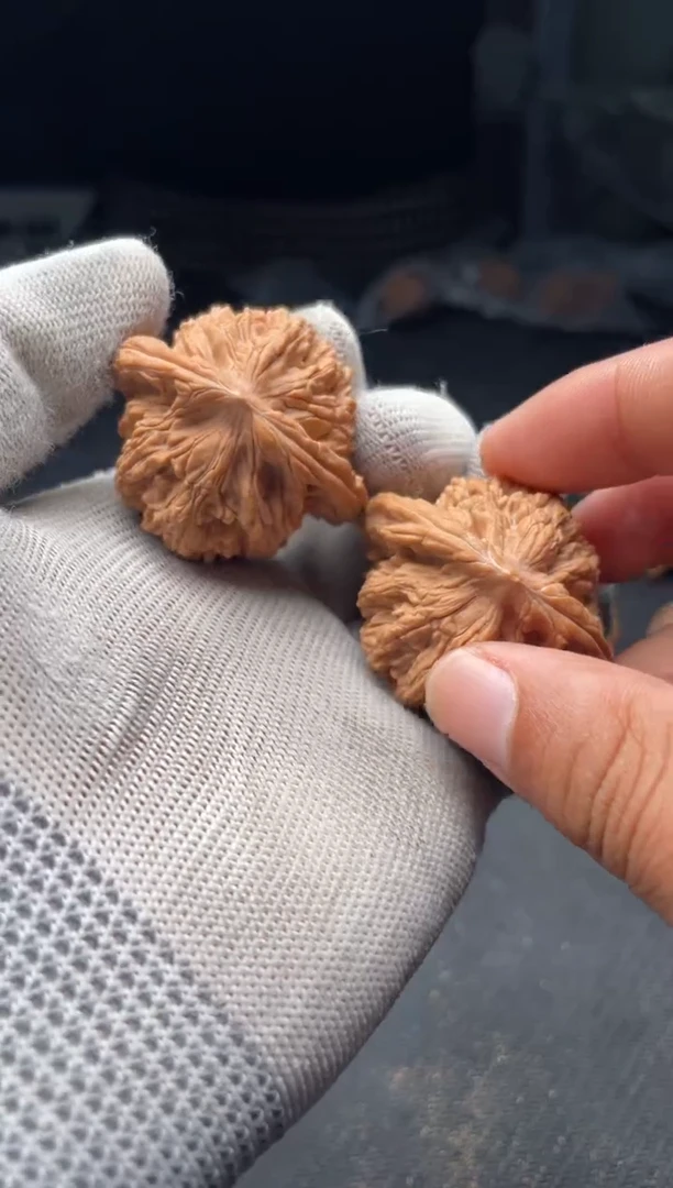 木质a100 麦虎    42尺