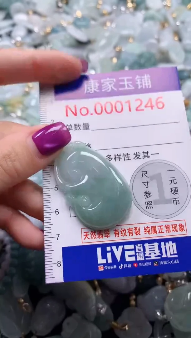 颈饰未镶嵌翡翠1246
